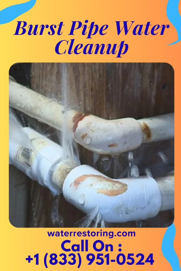 Burst Pipe Water Cleanup in Gratz, PA