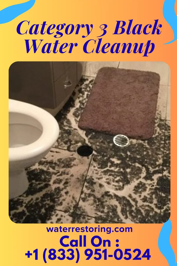 Category 3 Black Water Cleanup in Gratz, PA